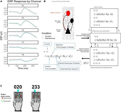 Toward biophysical markers of depression vulnerability